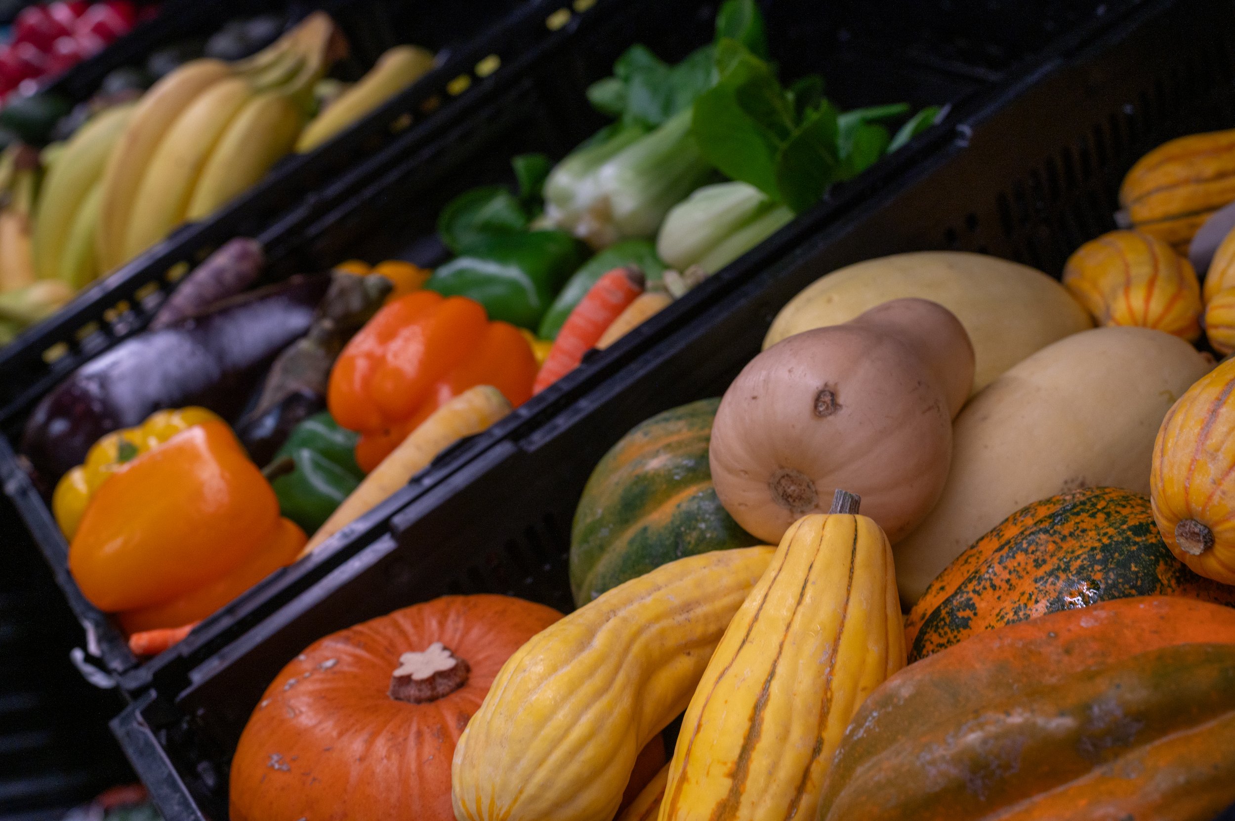 Vegetables, Market, Squash, Pumpkin,Fall