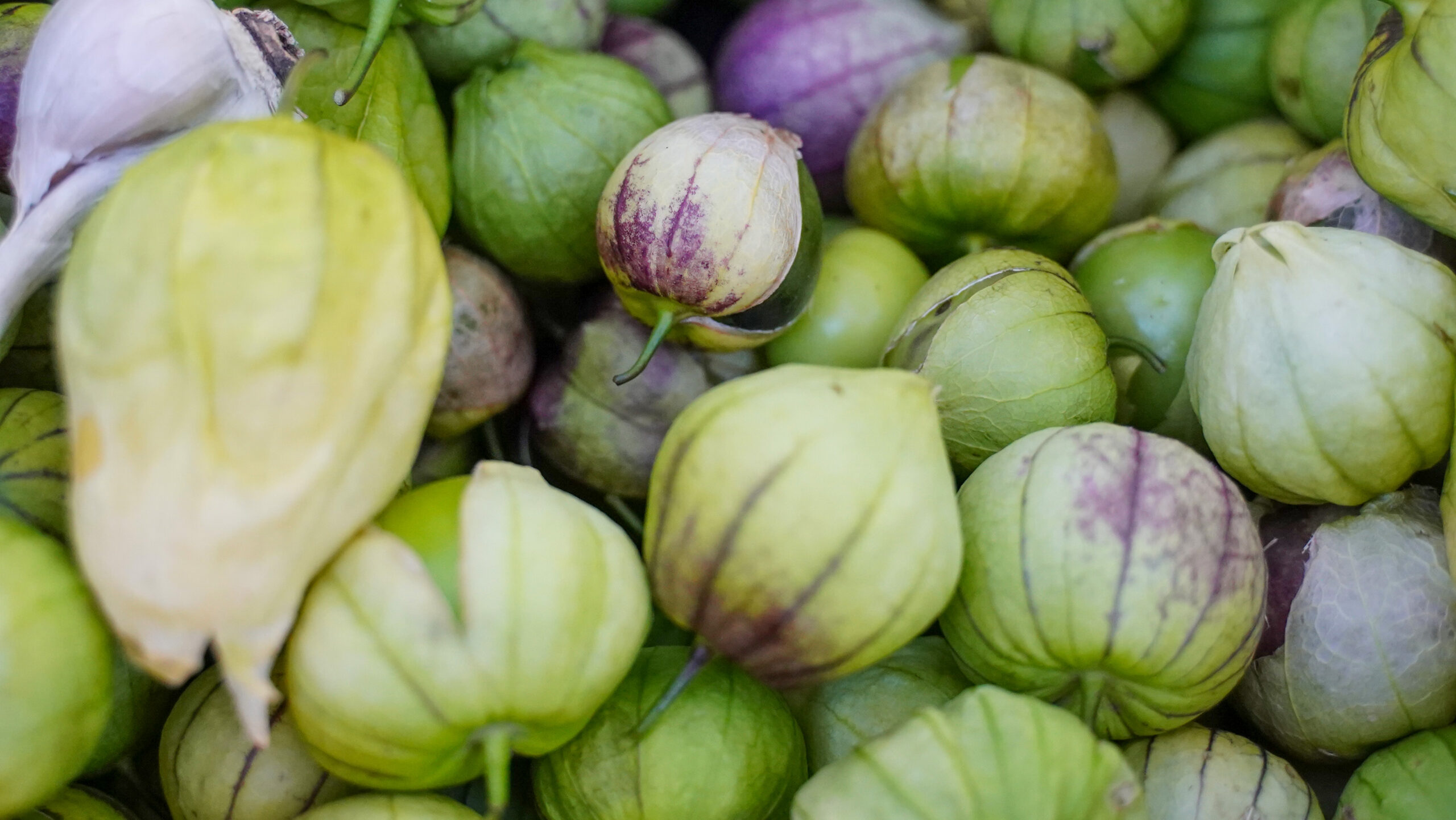 Close up photo of tomatillos