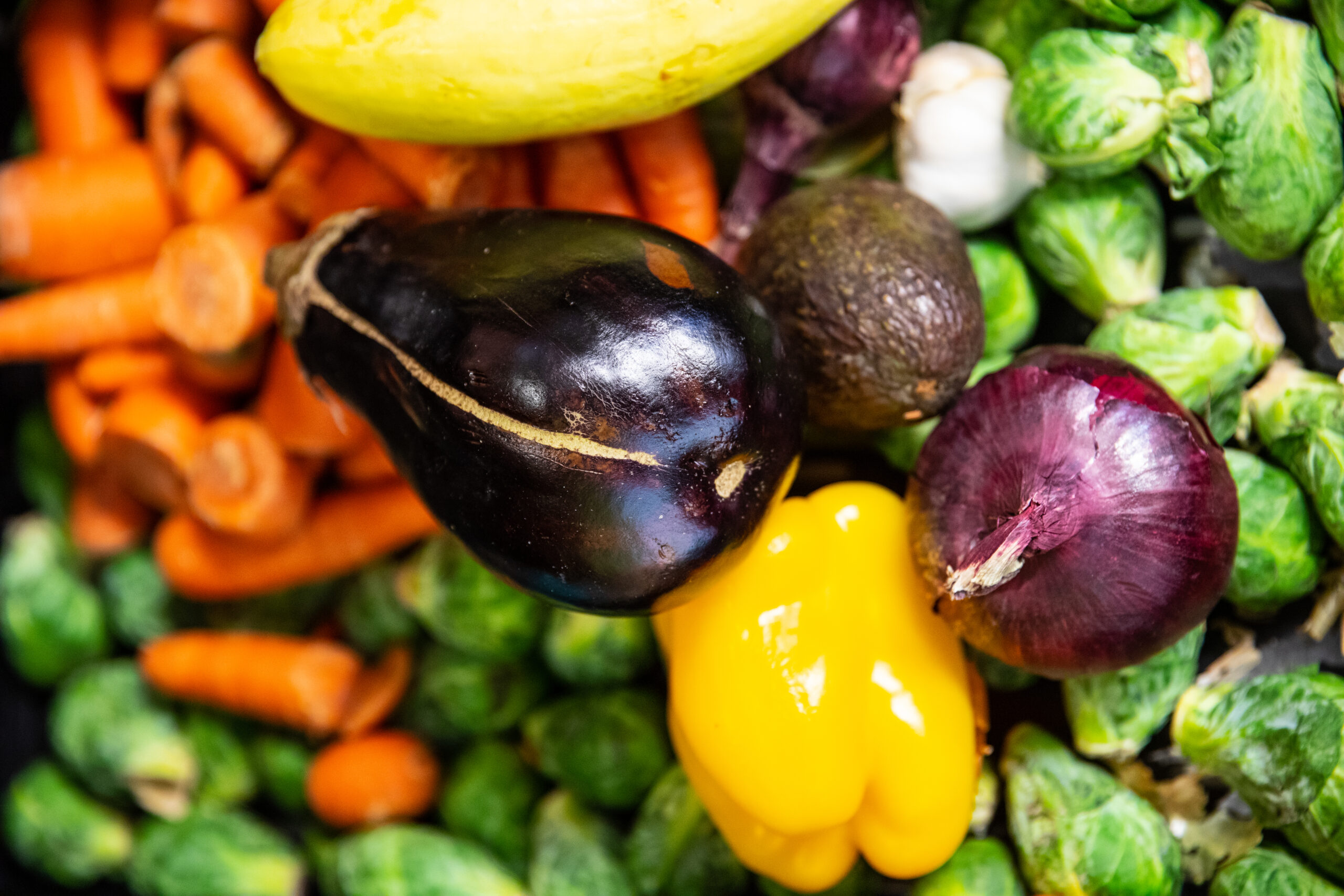 Close up of a pile of veggies, including eggplant, a red onion, carrots, brussels, a yellow pepper, and an avocado.