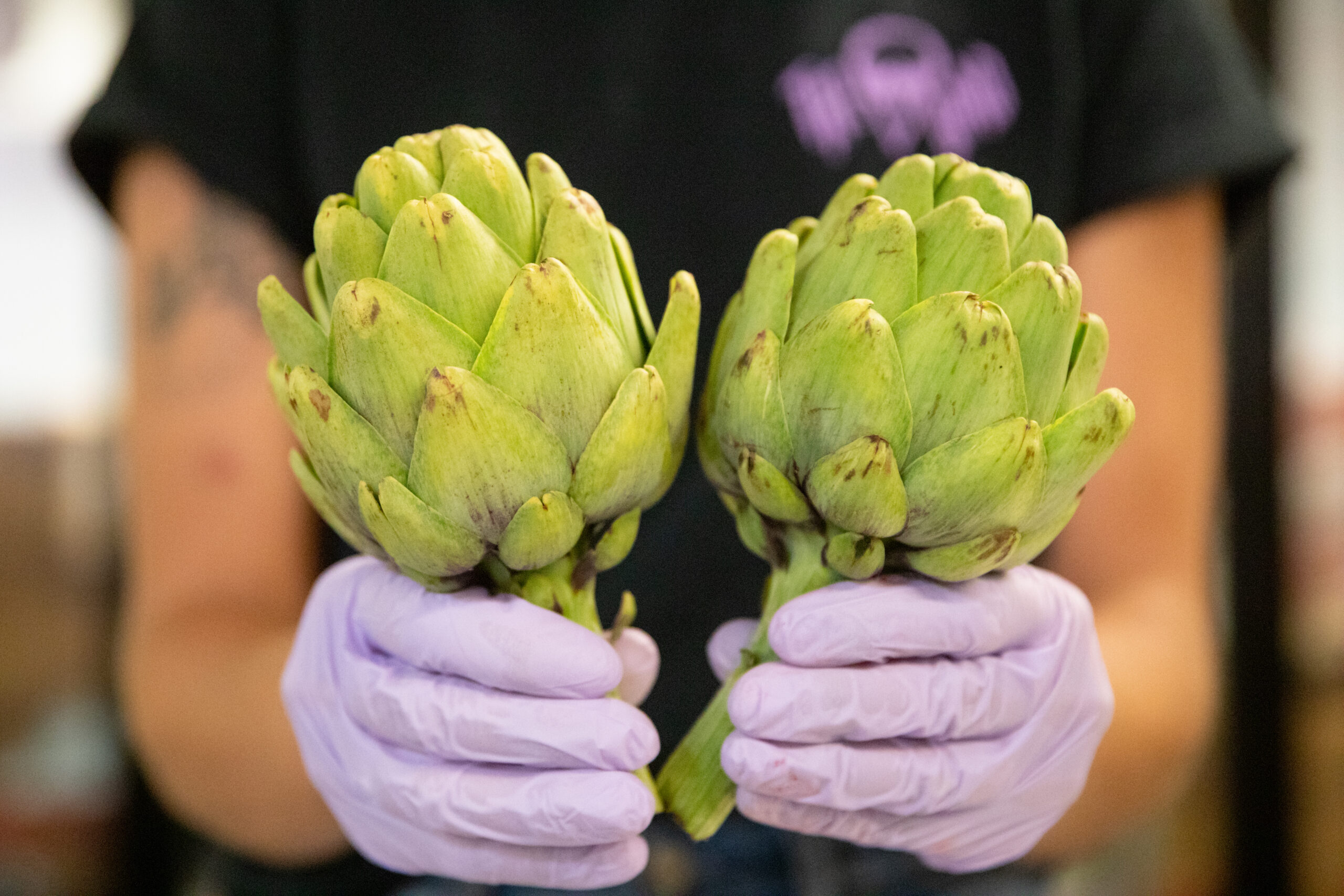 Person holding out two artichokes. The photo it a close up of their hands and the veggies. The person is wearing gloves. 