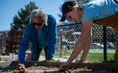 Urban agriculture program grows to meet community and environmental needs