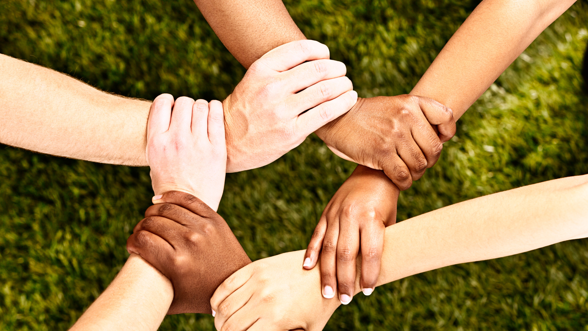 Hands grabbing each other's arms in a circle with all sorts of skin tones.