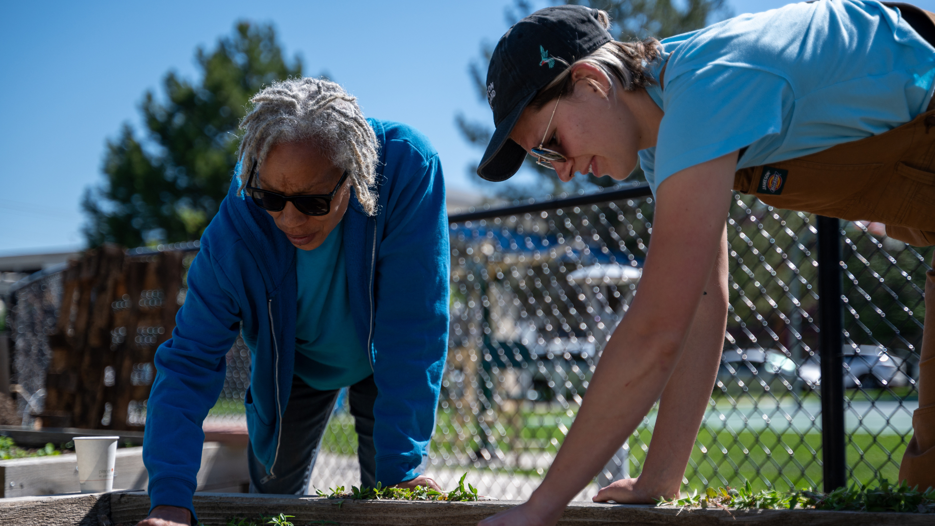 Two people are hunched over a garden bed weeding it to prepare it for the growing season.