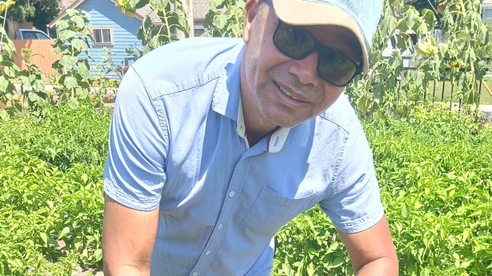 Arnaldo wears a hat and sunglasses as he leans over to end to green plants that he's surrounded by.