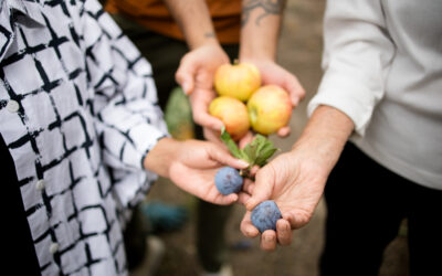 Partners carry urban agriculture work forward