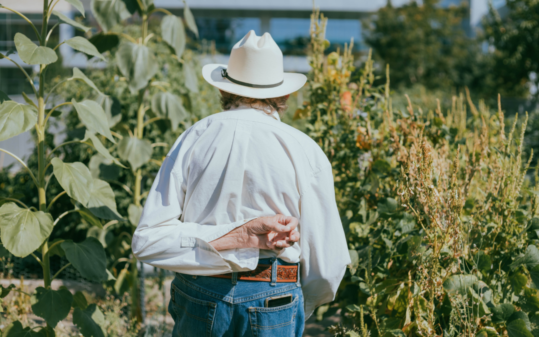 Foraging Edible Plants in Denver / Forrajeando plantas comestibles en Denver