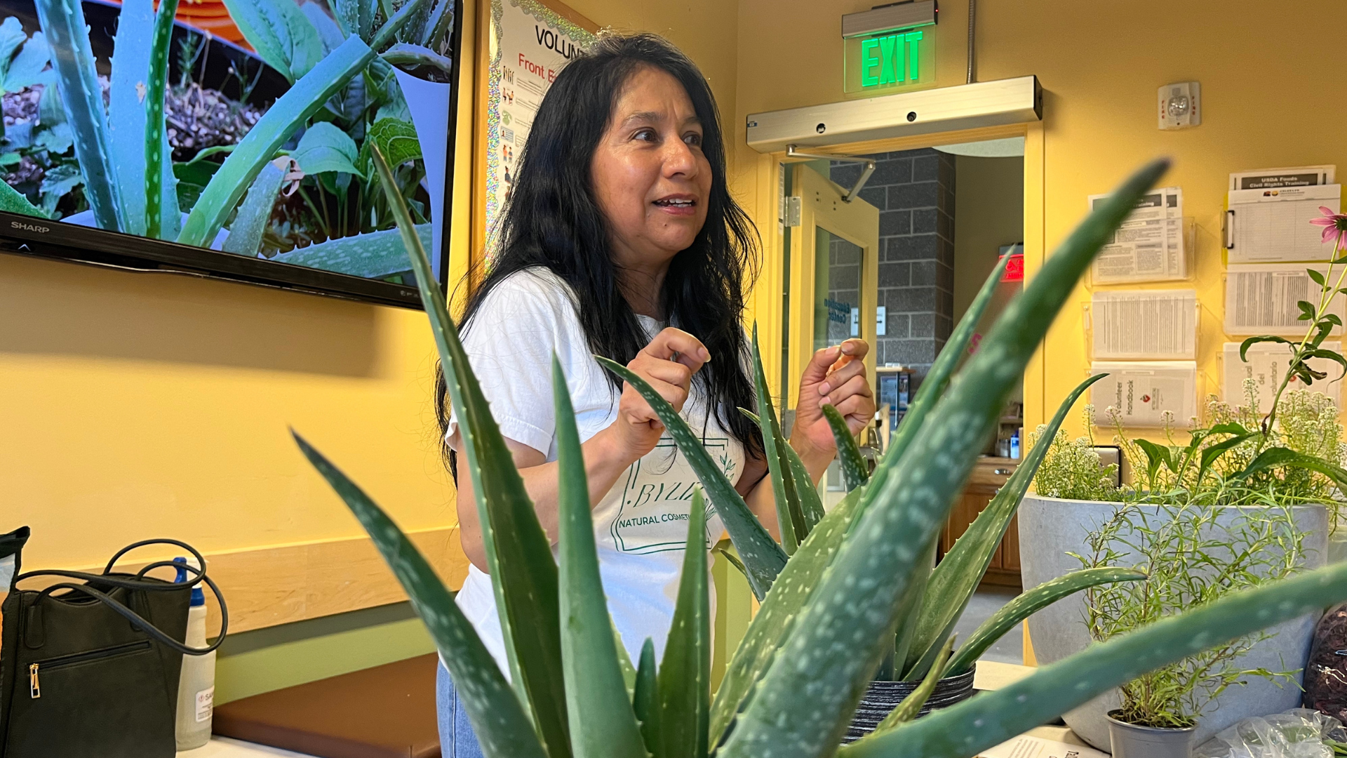 Elizabeth teaches a Medicinal Plants class. There are aloe plants in the foreground of of the photo.