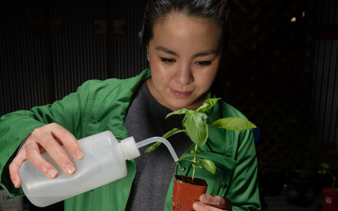 Irrigation 101 / Fundamentos de riego
