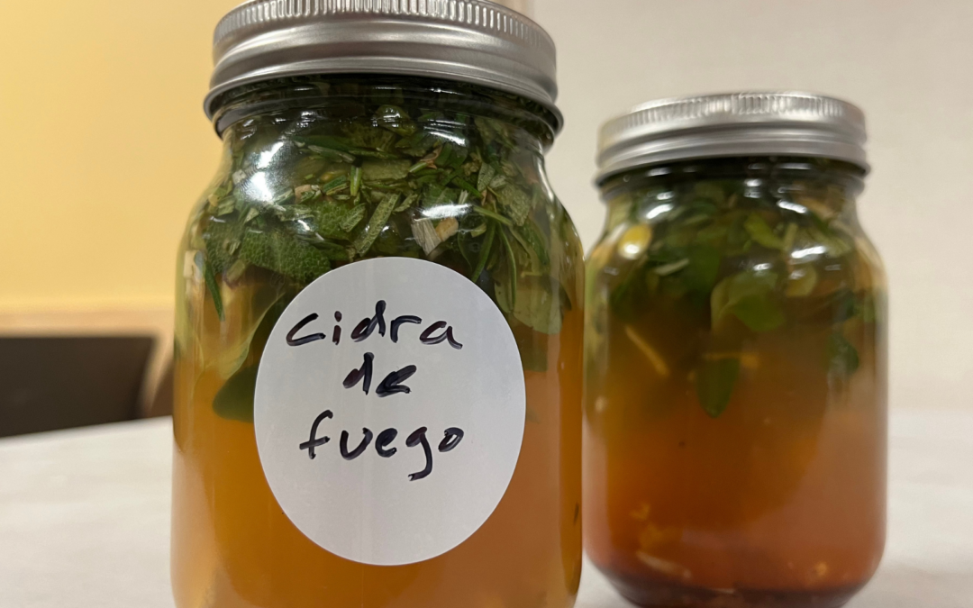 Garden Medicine / Medicina de jardín