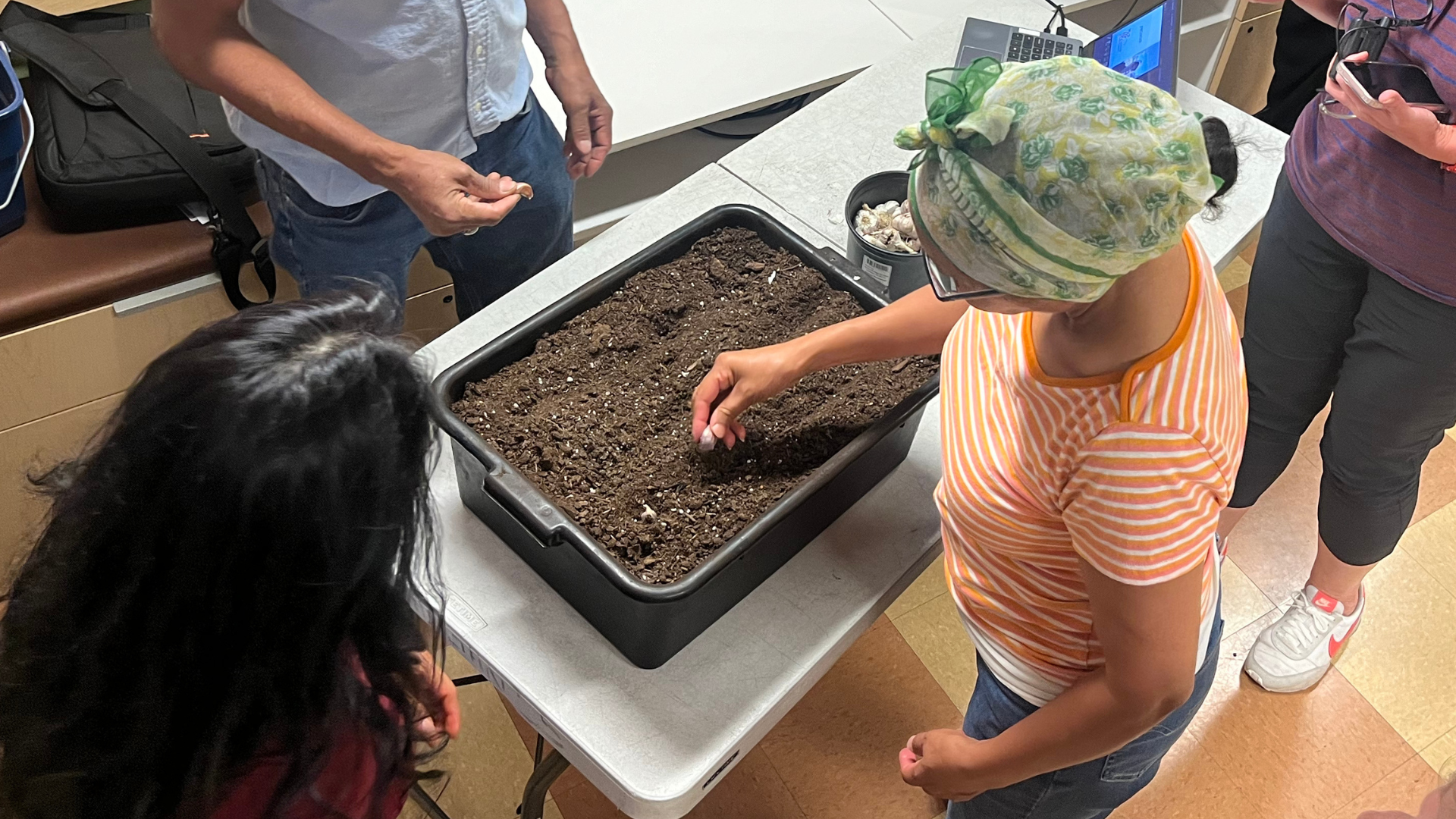 Gardener puts a bulb of garlic into a small bin of soil during a class demonstration.