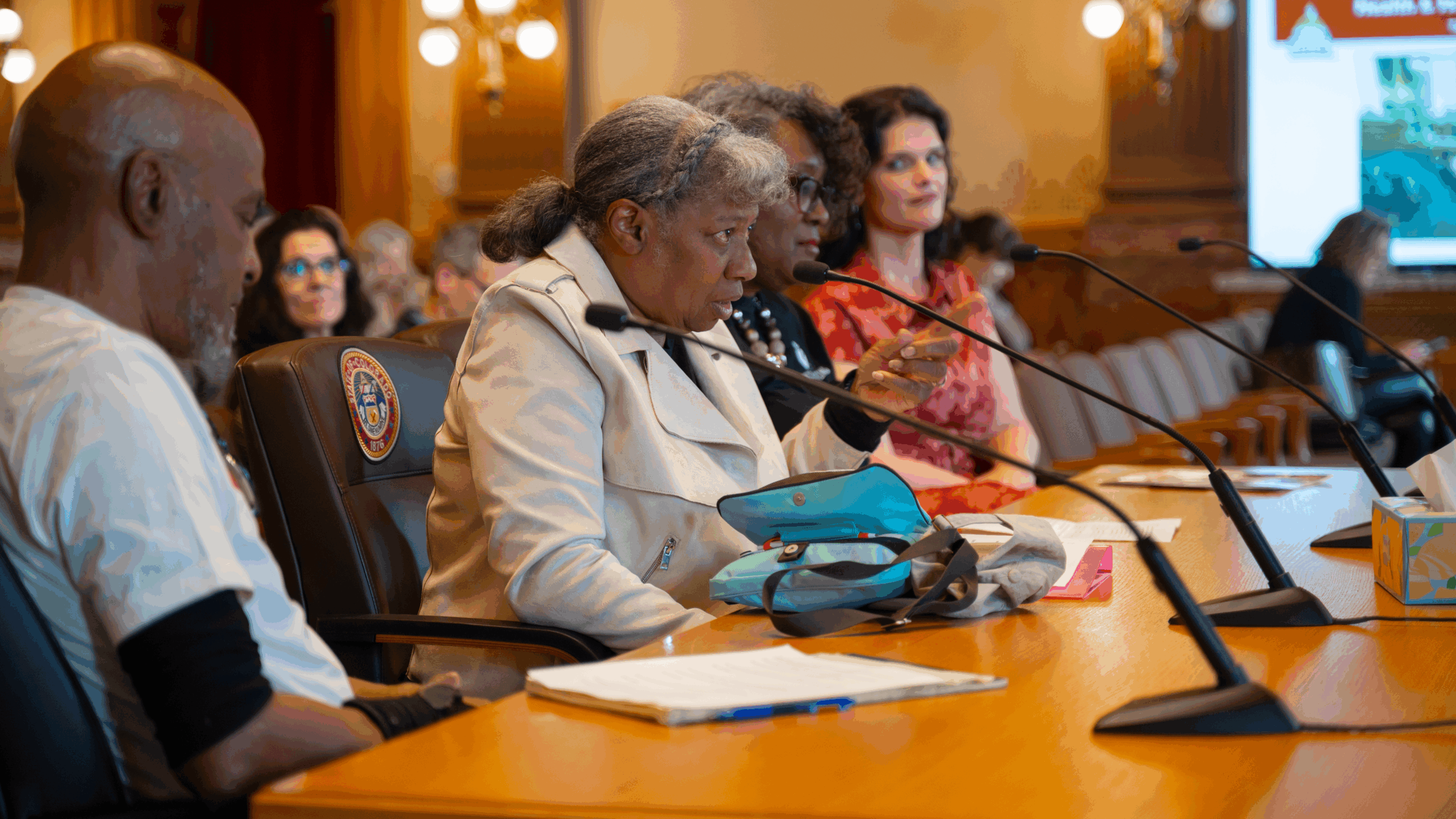 A group of community members from Metro Caring during a legislative session at Colorado's state capitol