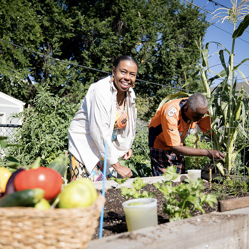 Black woman picking some vegetables in a garden