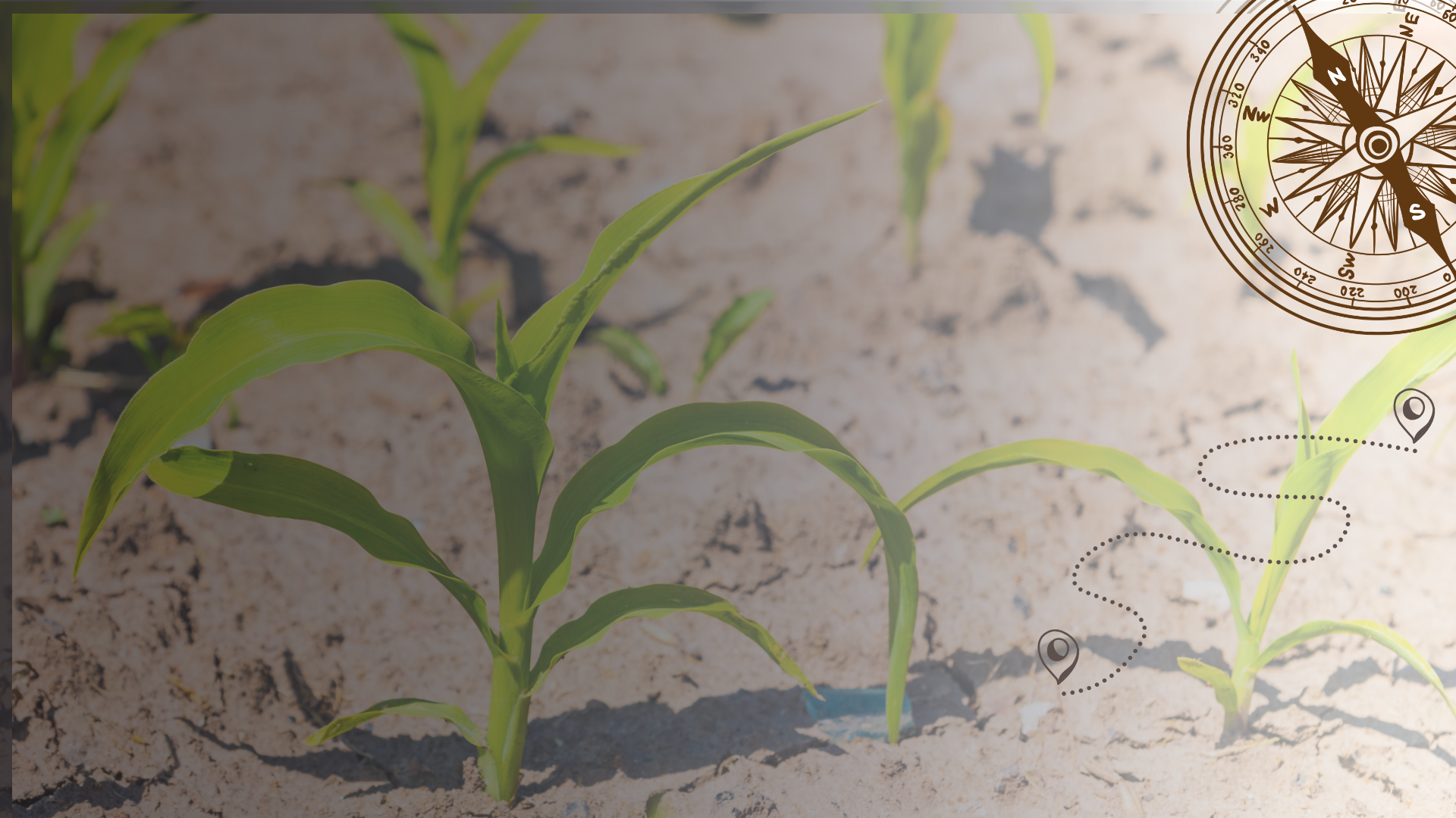Close up photo of a plant with a compass and trail map overlayed.