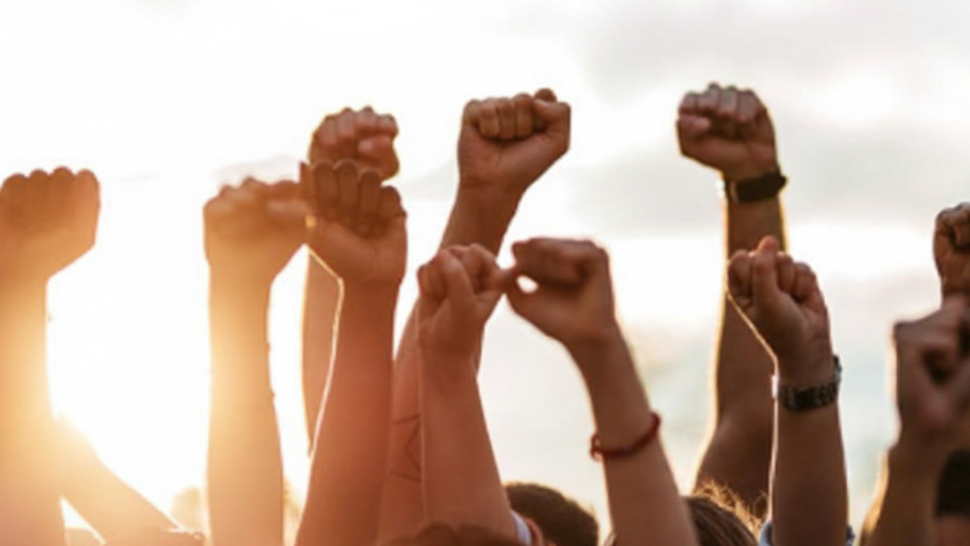 Several fists in the air from people of all different skin tones and races, with a sunburst behind it.